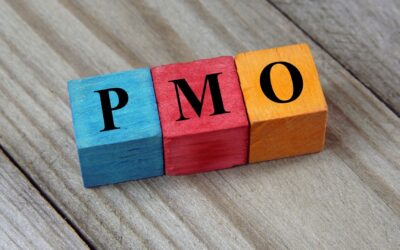 Project Management Office (PMO)