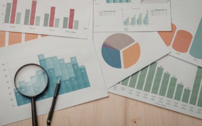 Project Audit